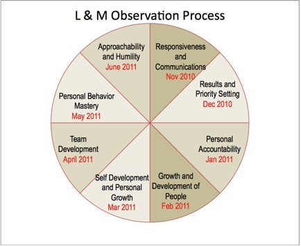 L and M Observation Process